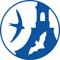 logo_gebäudebrüter_weiß.png