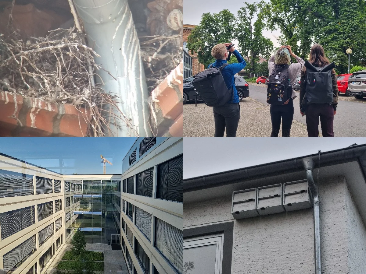 Campus-Kartierung 2025